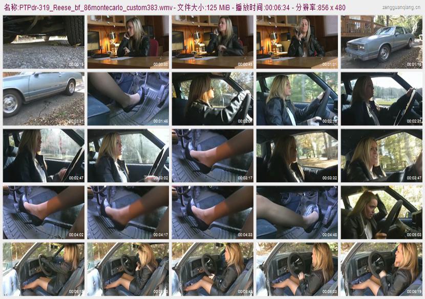 ptpdr-319_Reese_bf_86montecarlo_custom383